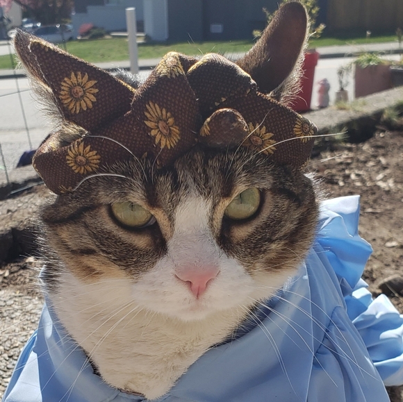 Handmade Artisan Rockabilly Wire Headband For Pets - Picture 3 of 4